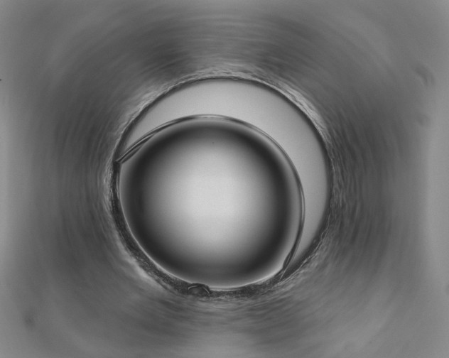 X0000112760485200908271622