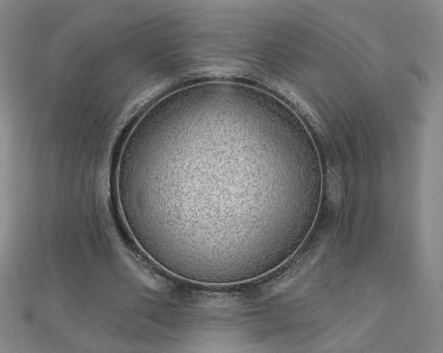 X0000112760486200908271622