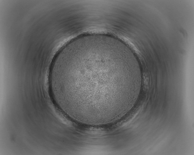 X0000112760487200908271622