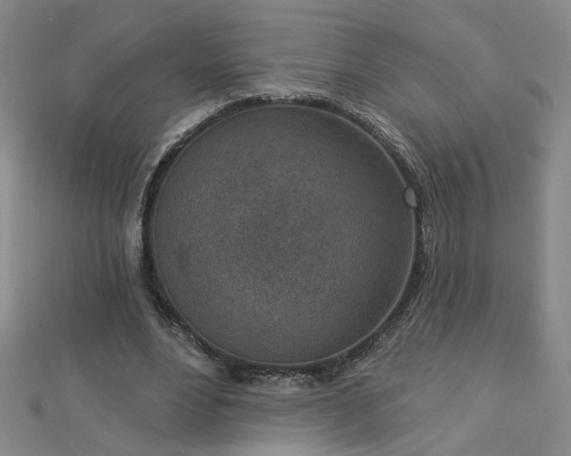 X0000112760488200908271622