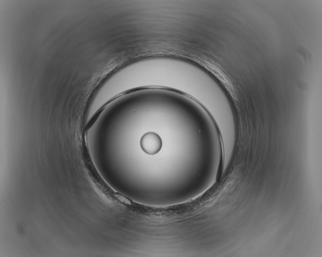 X0000112760489200908271622