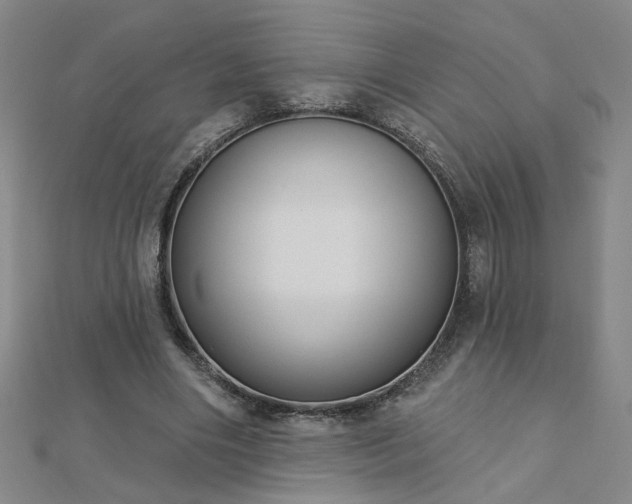 X0000112760490200908271622