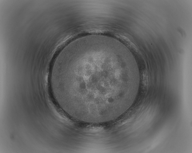 X0000112760491200908271622
