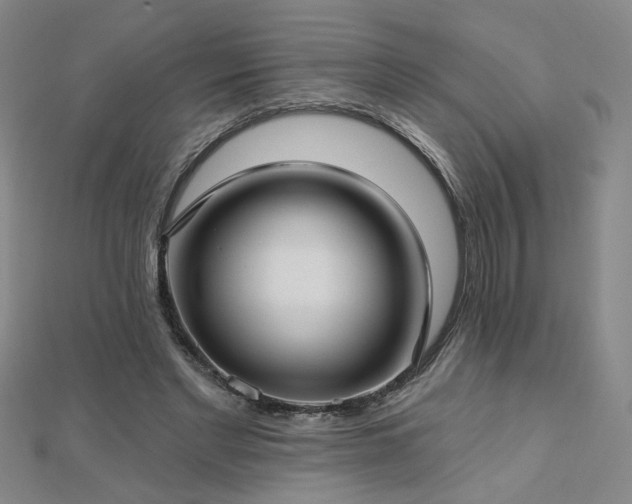 X0000112760493200908271622