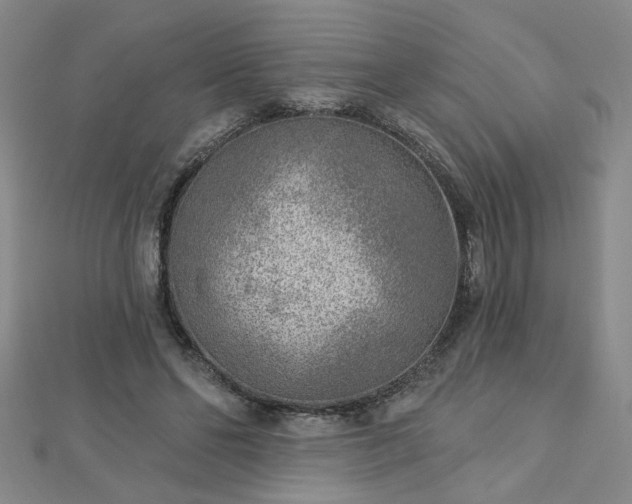 X0000112760494200908271622
