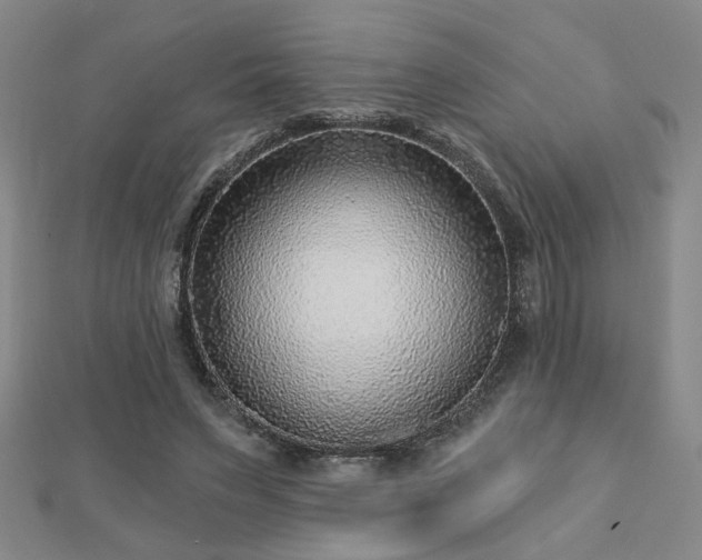 X0000112760495200908271622
