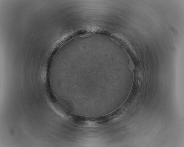 X0000112760496200908271622