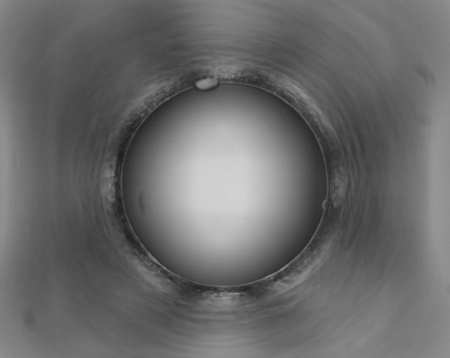 X0000112760497200908271622