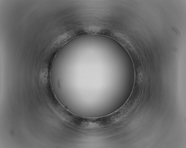 X0000112760498200908271622