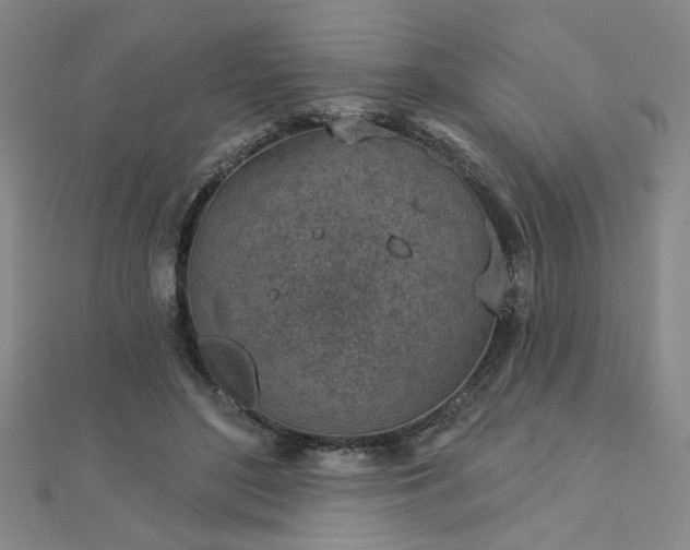X0000112760500200908271622