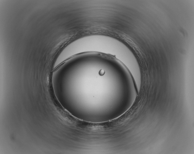X0000112760501200908271622