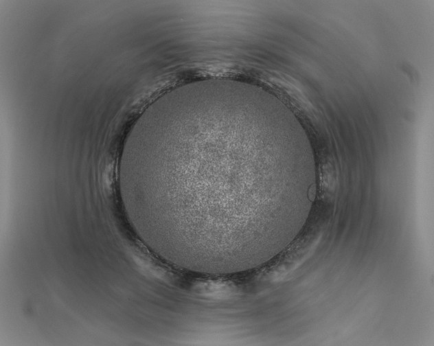 X0000112760503200908271622