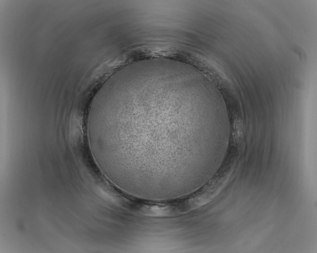 X0000112760506200908271622