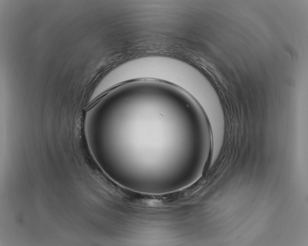 X0000112760509200908271622
