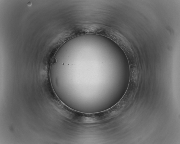 X0000112760510200908271622