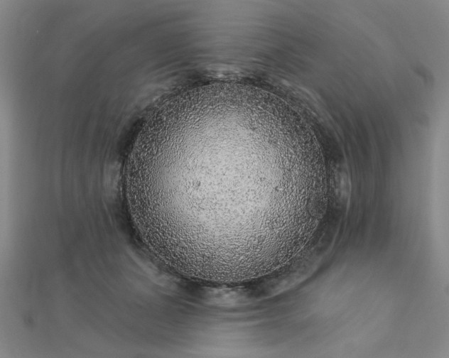X0000112760511200908271622