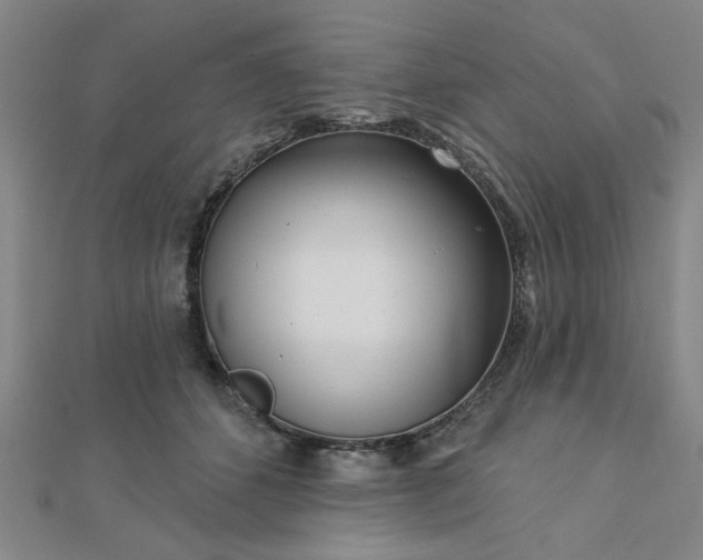 X0000112760512200908271622