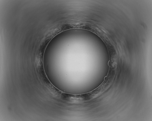 X0000112760515200908271622