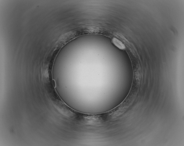 X0000112760516200908271622