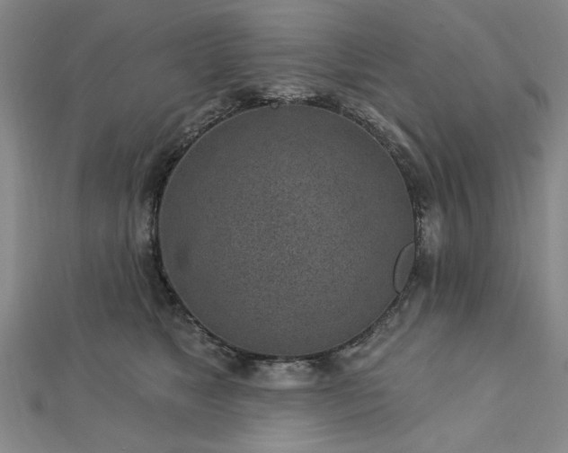 X0000112760517200908271622