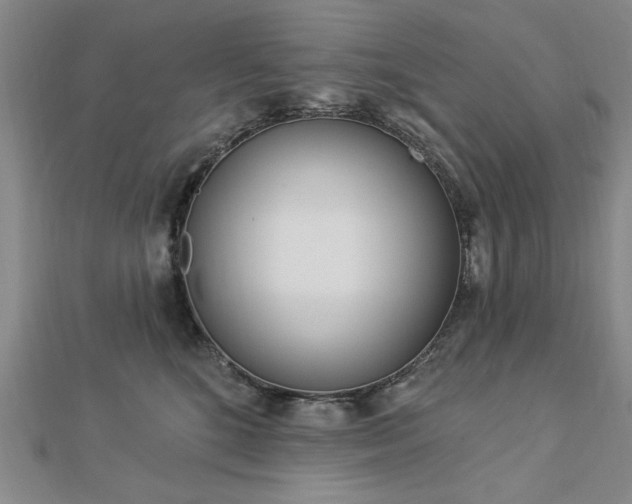 X0000112760520200908271622