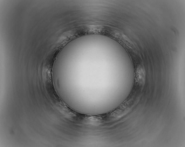 X0000112760522200908271622