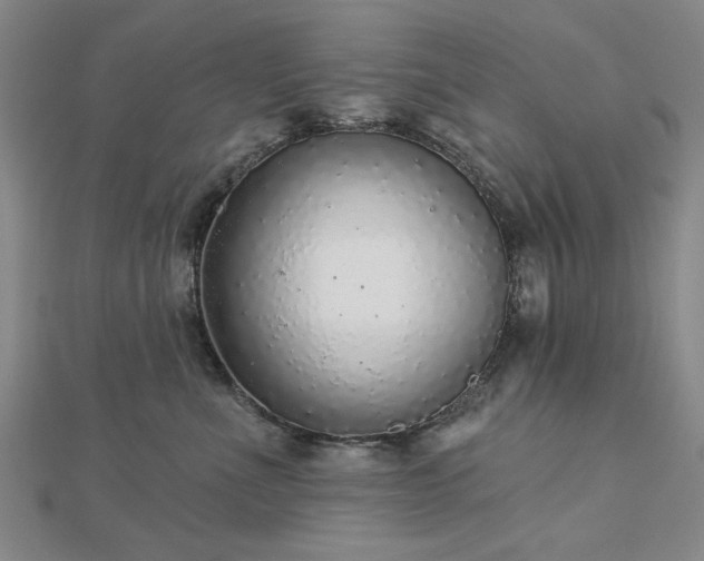 X0000112760523200908271622
