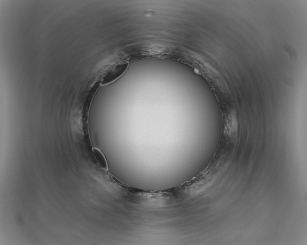 X0000112760524200908271622