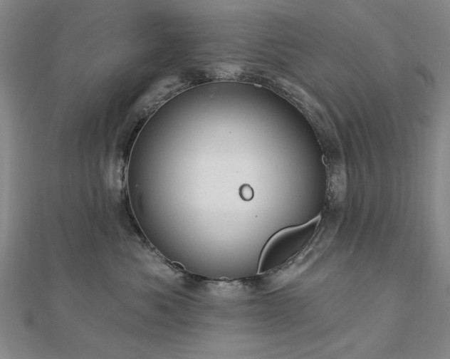 X0000112760525200908271622