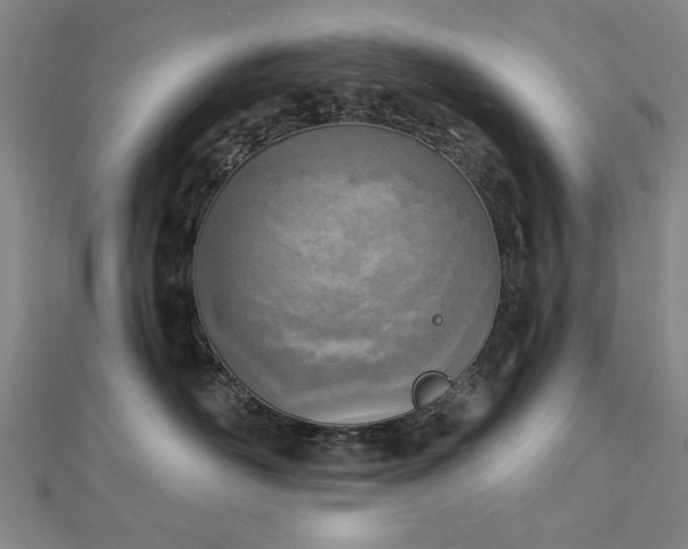 X0000112760526200908271622