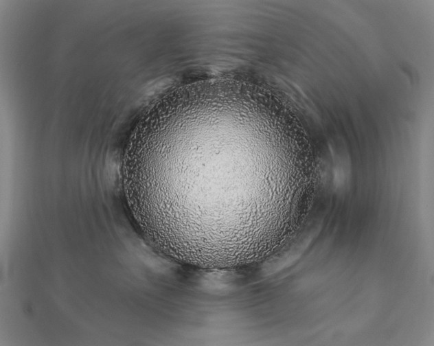 X0000112760527200908271622