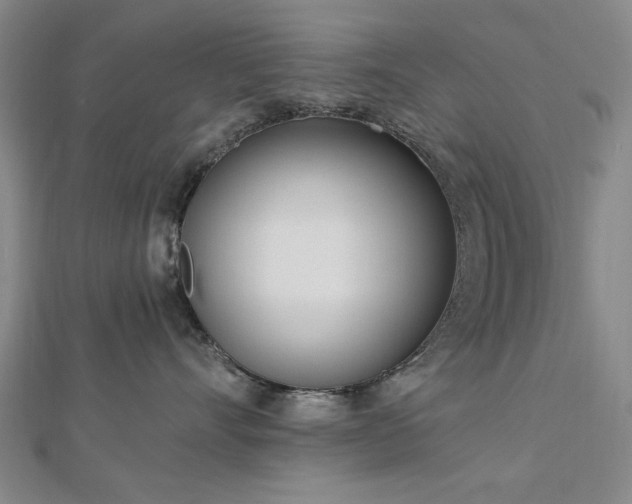 X0000112760528200908271622