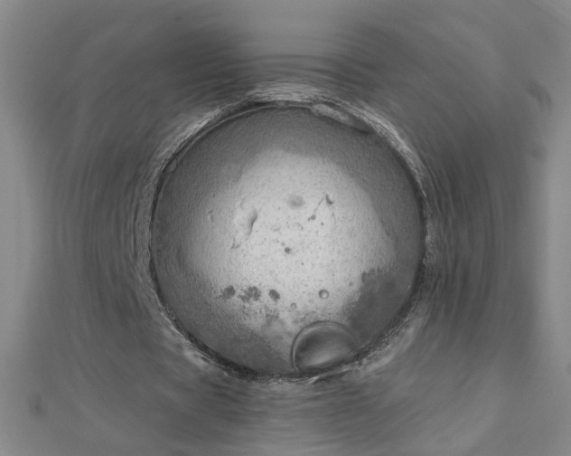 X0000112760529200908271621