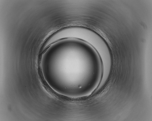 X0000112760530200908271621