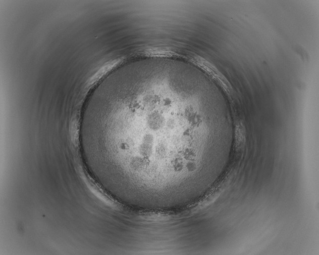 X0000112760533200908271621
