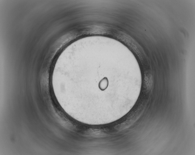 X0000112760534200908271621