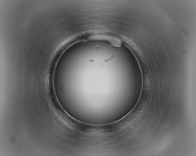 X0000112760535200908271621