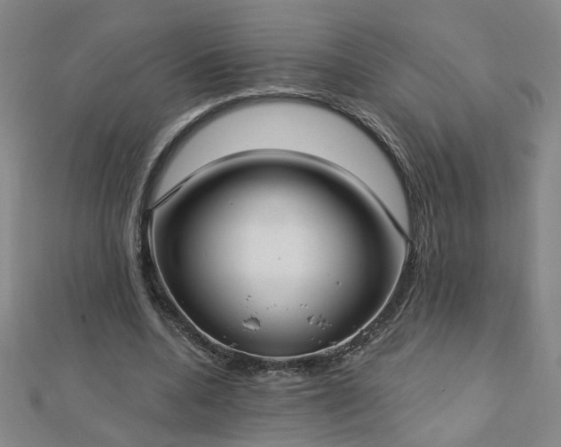 X0000112760536200908271621