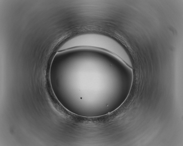 X0000112760538200908271621