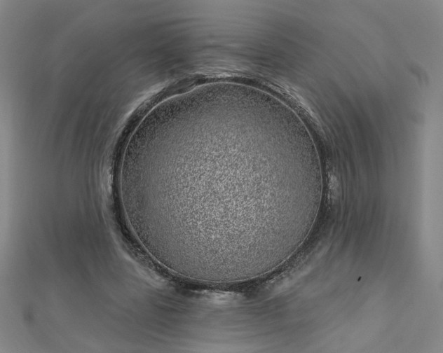 X0000112760539200908271621