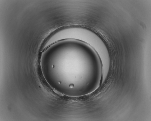 X0000112760540200908271621