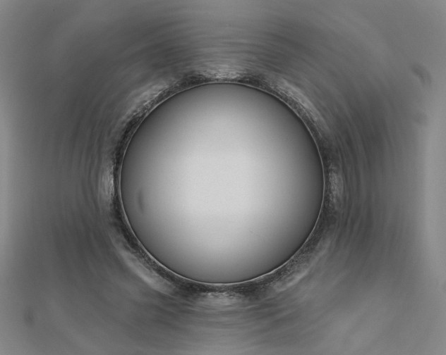 X0000112760541200908271621