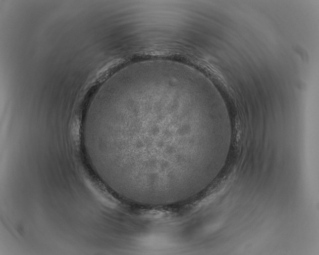 X0000112760542200908271621