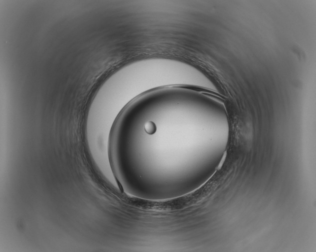 X0000112760546200908271621