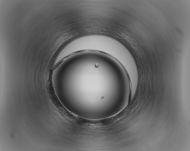 X0000112760548200908271621