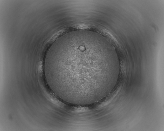 X0000112760549200908271621