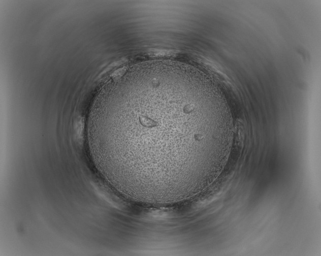 X0000112760550200908271621