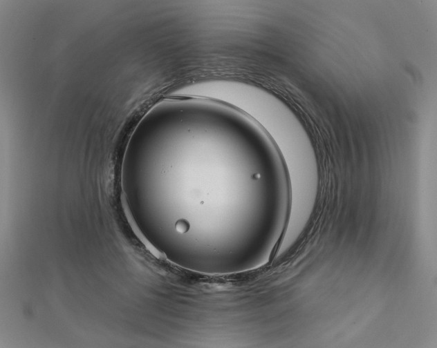 X0000112760552200908271621