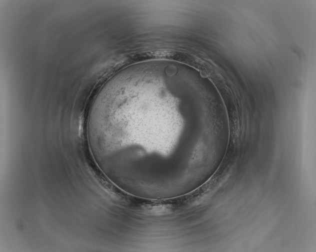 X0000112760553200908271621