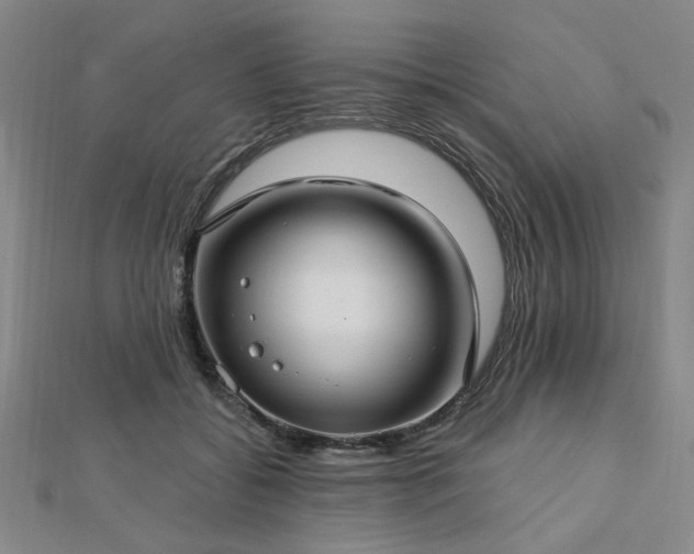 X0000112760556200908271621